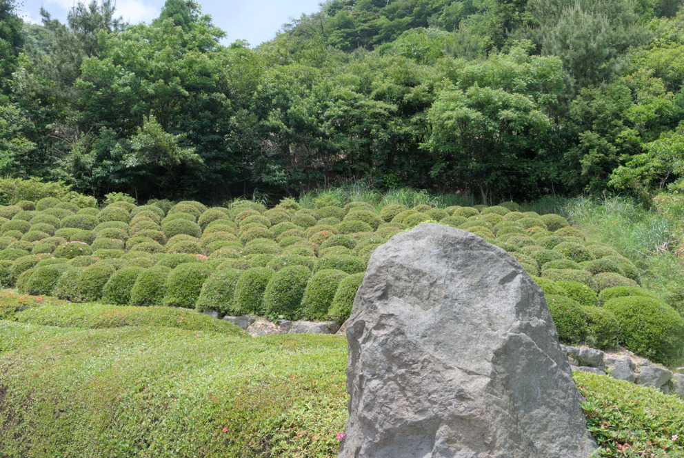 Le jardin des onsens tout en haut de la ville